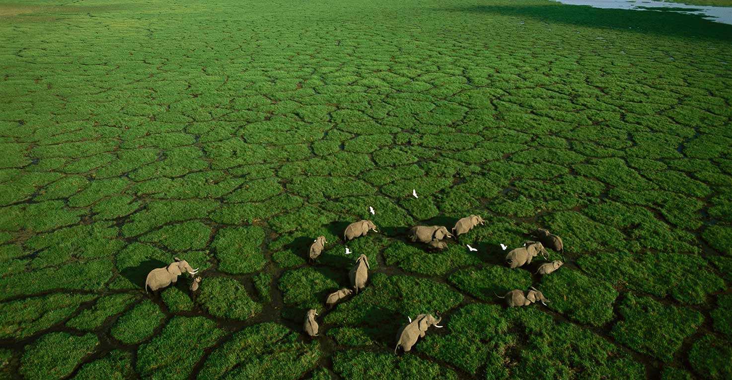 Aerial Survey & Geophysical Flights in Uganda