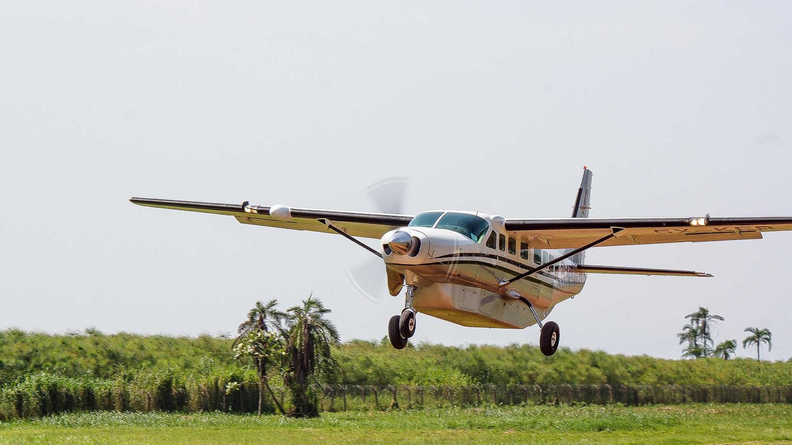 Charter Flights in Kampala — Same-Day Available